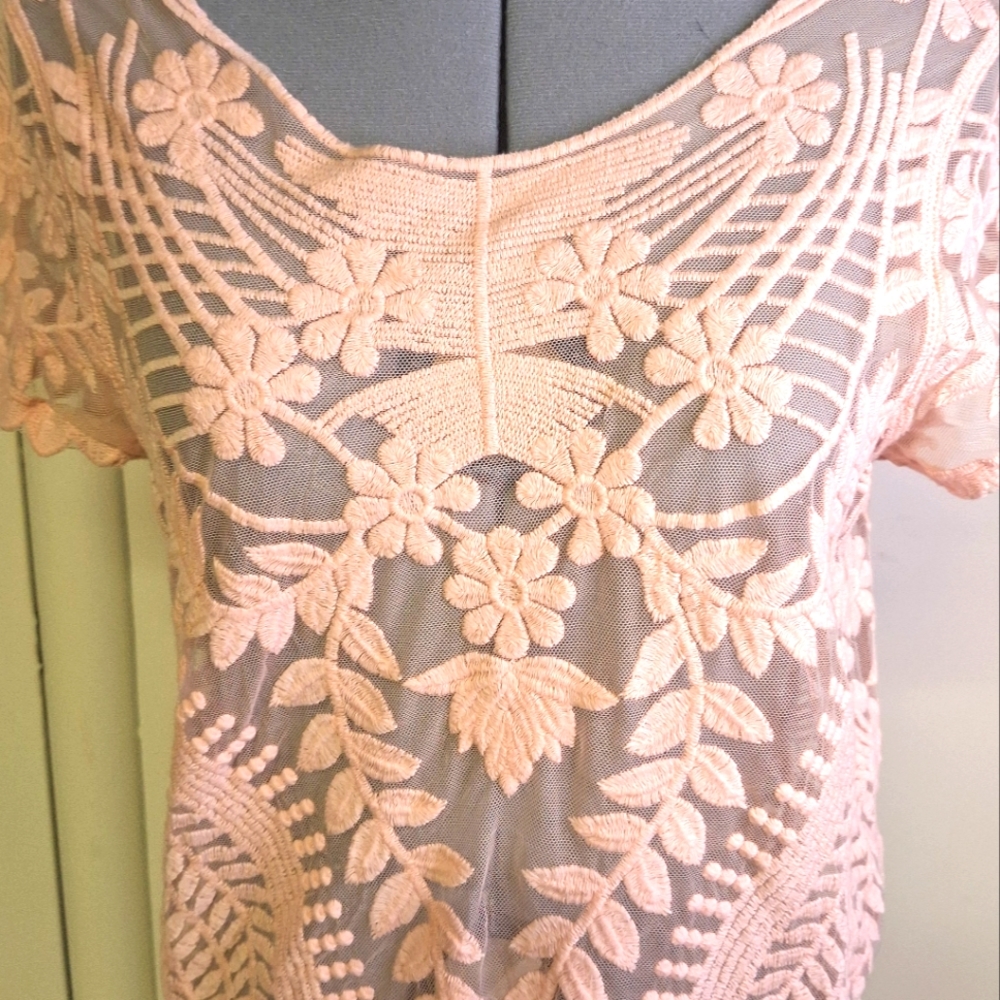 Express Sheer Lacy Peach Summer Top